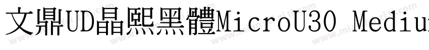 文鼎UD晶熙黑體MicroU30 Medium字体转换
